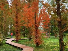 -国家植物园南园