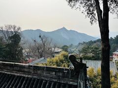 -潭柘寺景区