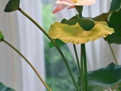 -观宴·品质赣菜(高新大道店)