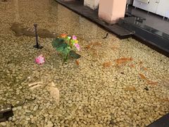 -宝燕海鲜(好爱店)