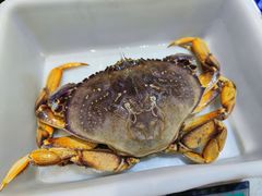 -大众海鲜(巨龙北路店)