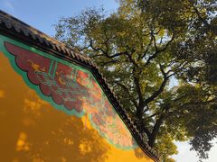 -宝通禅寺