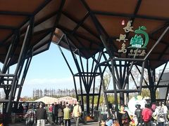 -上海长兴岛郊野公园