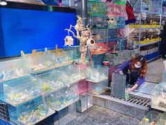 -青石桥花鸟鱼虫市场(叠翠城店)