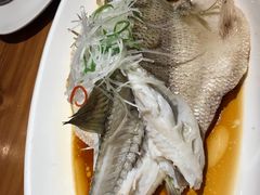 清蒸鲈鱼-又一福烤鸭·北京菜(东四店)