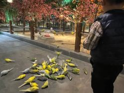 -酷嗒动物文化乐园(cutezoo西溪乐天城店)