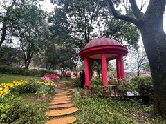 -南山植物园