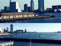 -大阪海游馆