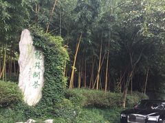 -十八棵（老龙井）御茶园(老龙井店)