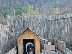 -小时光咖啡馆(开森度假森林店)