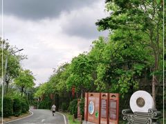 -红花湖景区