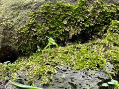 -南京市江宁方山