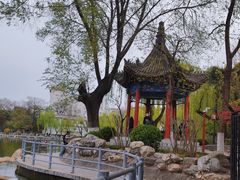 -莲湖公园
