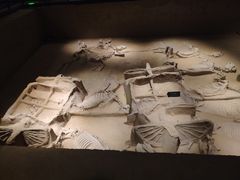 -洛阳周王城天子驾六博物馆