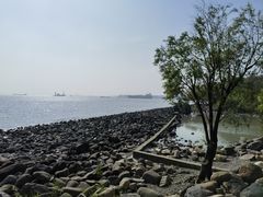 -上海吴淞炮台湾国家湿地公园