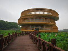 -荷塘月色湿地公园·向阳花洲