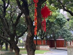 -松山湖凯悦酒店·Café自助餐厅·周末火舞秀表演