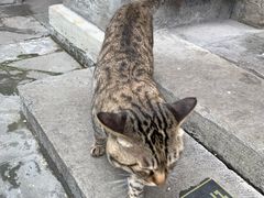 -正阳书局(西四南大街店)