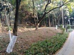 -天河儿童公园