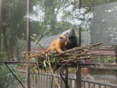 -南宁市动物园