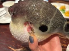 -永安鱼庄·镇江菜(东吴路店)