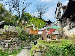 -塔川景区