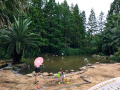 -苏州河梦清园环保主题公园