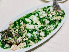 荠菜笋壳鱼-蝶园·装修中(BFC外滩金融中心店)