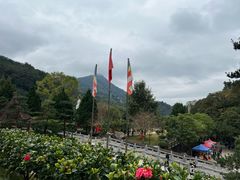-灵光寺
