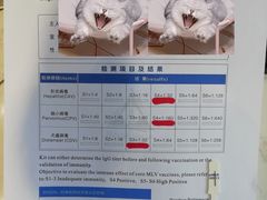-关爱宠物医院·猫科中心·消化科(滨湖万达分院)