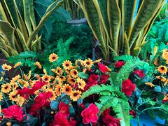 -天山海世界·米立方