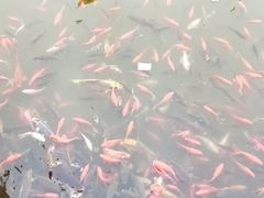 -花洲书院