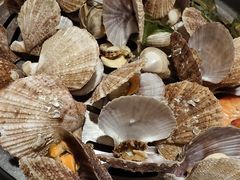 -三个渔夫·蒸汽海鲜(小白楼店)