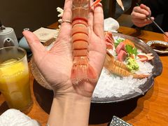 -月龍吟(朝龙汇店)