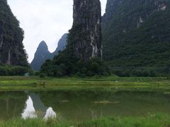 -钟山水墨田园