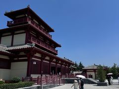 -洛阳古墓博物馆