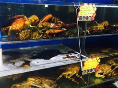 -蚝专家(北滘店)