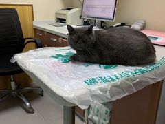-瑞派宠物医院·24h·骨外科·皮肤科·全科宠物医疗转诊中心(沈阳浑南院)