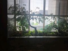 -海立阁海鲜江浙菜(漕河泾印象城店)