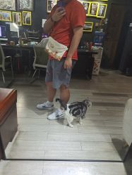-荔刺青纹身·手穿孔饰品