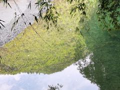 -阿依河景区