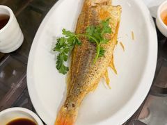-长平肥姐白粥·海鲜打冷