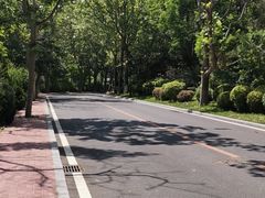 -棒棰岛宾馆景区