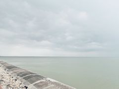 -东疆建设开发纪念公园