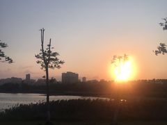 -五里桥文化公园-西侧停车场