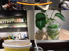 -WOW coffee