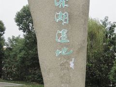 -溱湖国家湿地公园