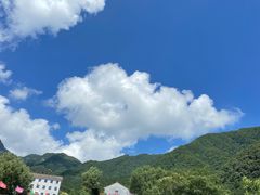 -王顺山国家森林公园