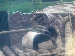 -黔灵山公园