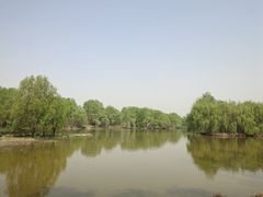 -西安浐灞国家湿地公园